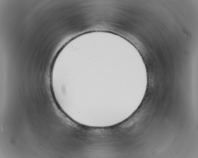 X0000111350950200907100932