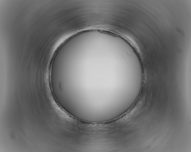 X0000111350952200907100932