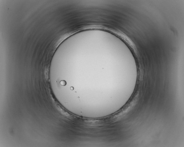 X0000111350953200907100932