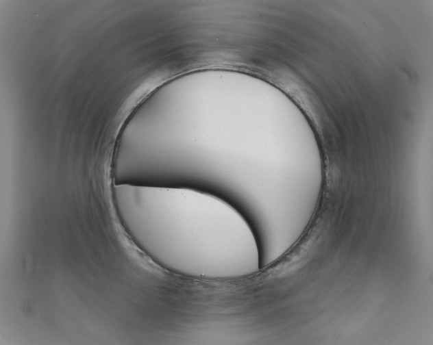 X0000111350954200907100932
