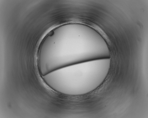 X0000111350955200907100932