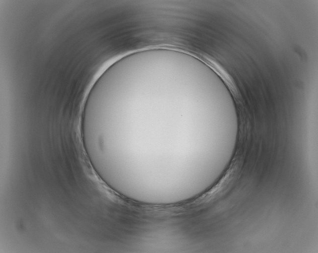 X0000111350956200907100932