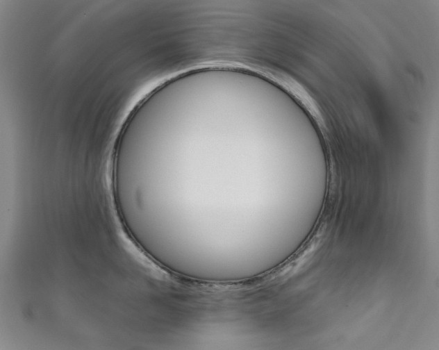 X0000111350958200907100932
