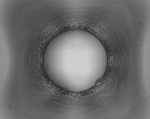 X0000111350961200907100932