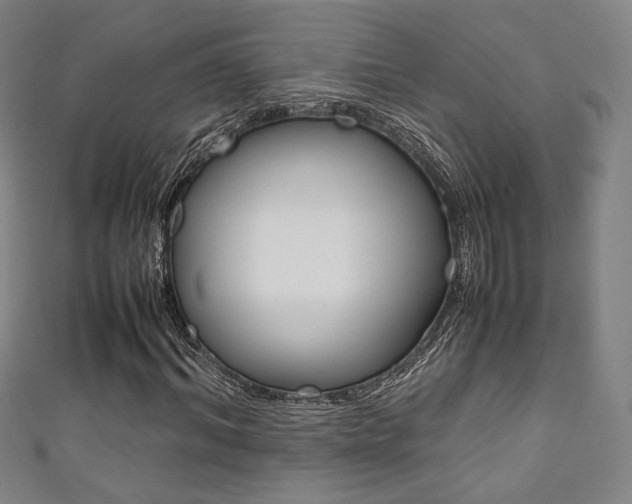 X0000111350964200907100931
