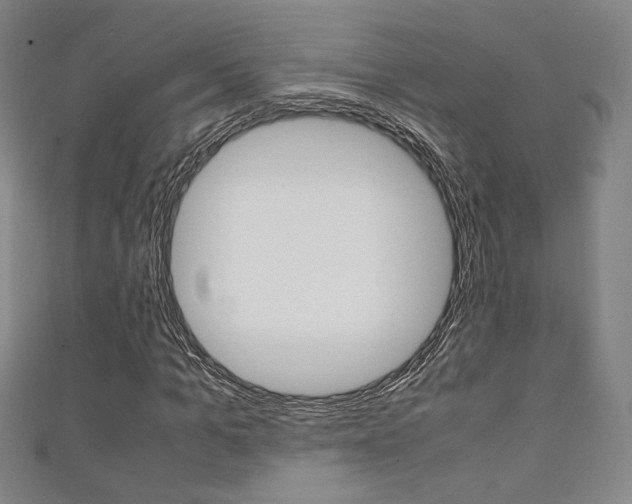 X0000111350965200907100931
