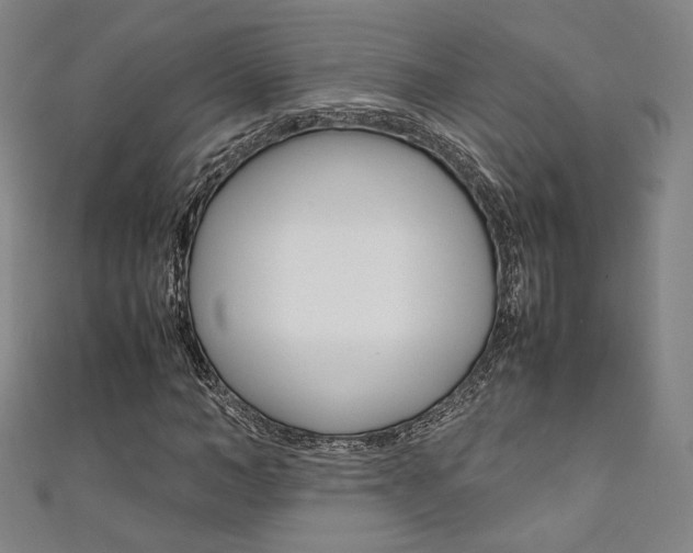 X0000111350966200907100931