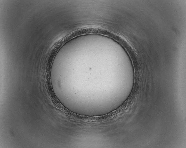 X0000111350967200907100931