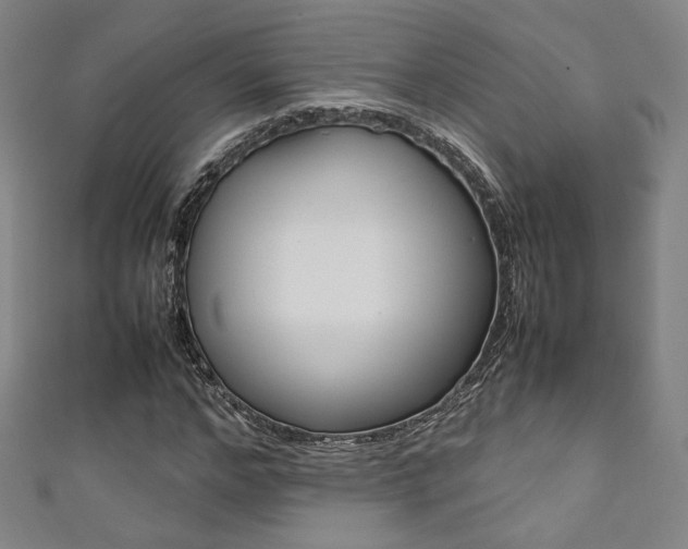 X0000111350968200907100931