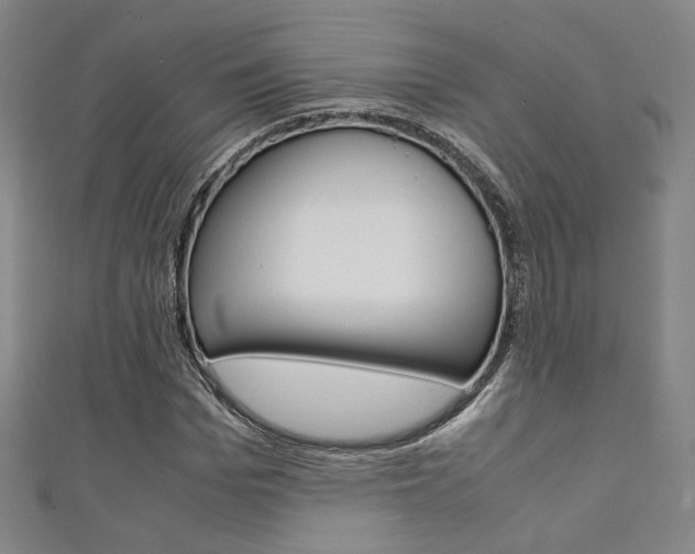 X0000111350969200907100931