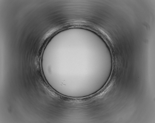 X0000111350970200907100931