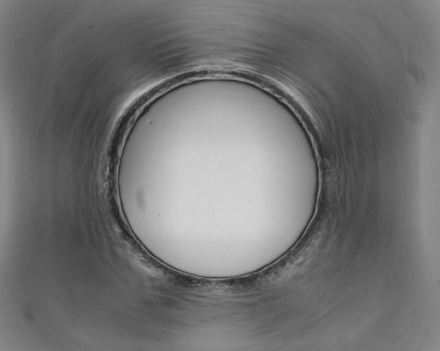 X0000111350971200907100931