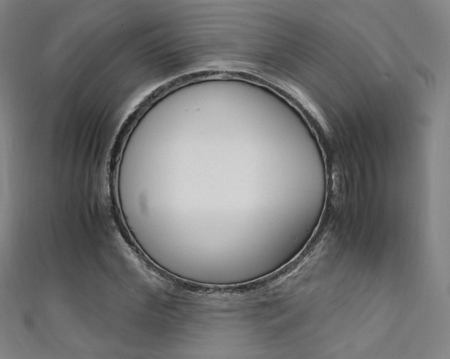 X0000111350972200907100931