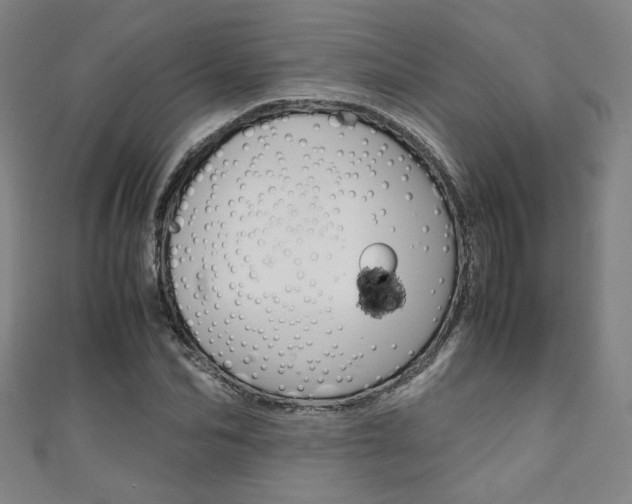 X0000111350974200907100931
