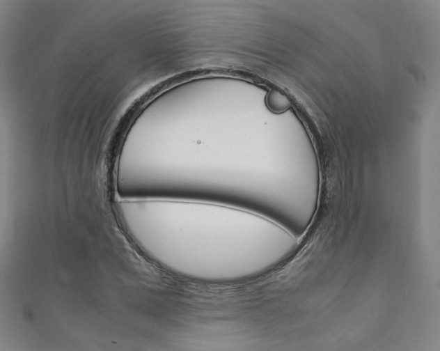X0000111350975200907100931