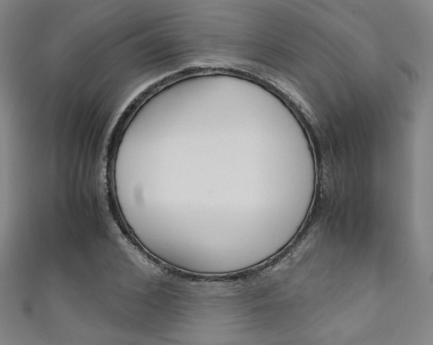 X0000111350976200907100931