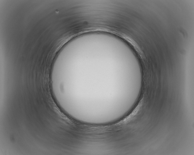 X0000111350977200907100931
