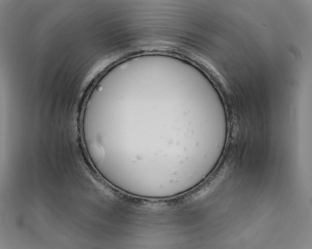 X0000111350978200907100931