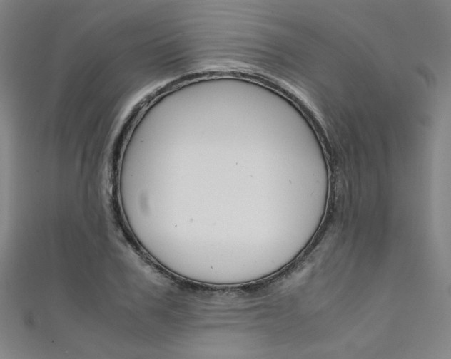 X0000111350979200907100931