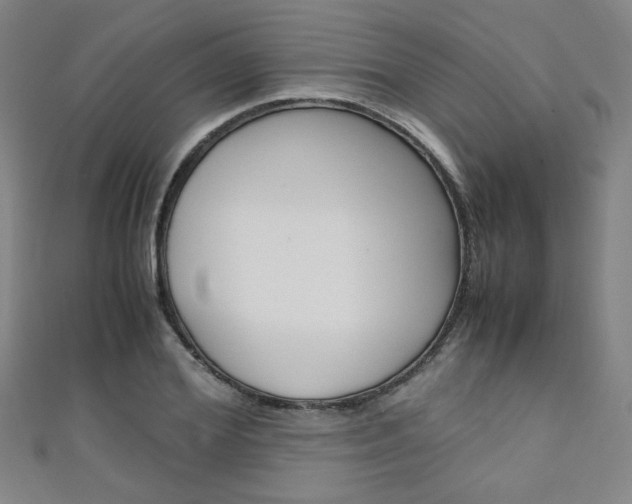 X0000111350980200907100931