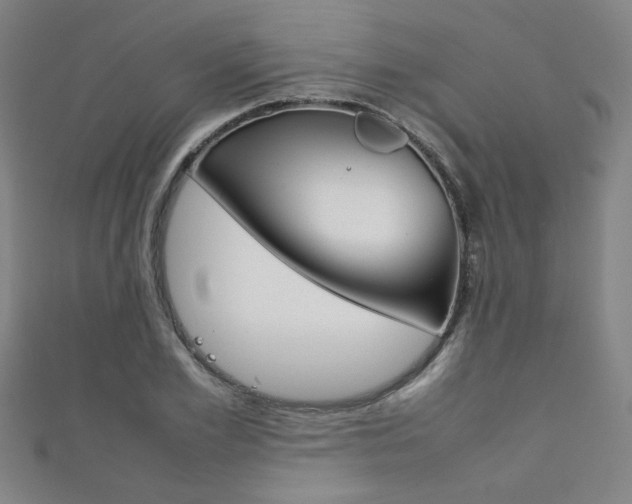 X0000111350981200907100931