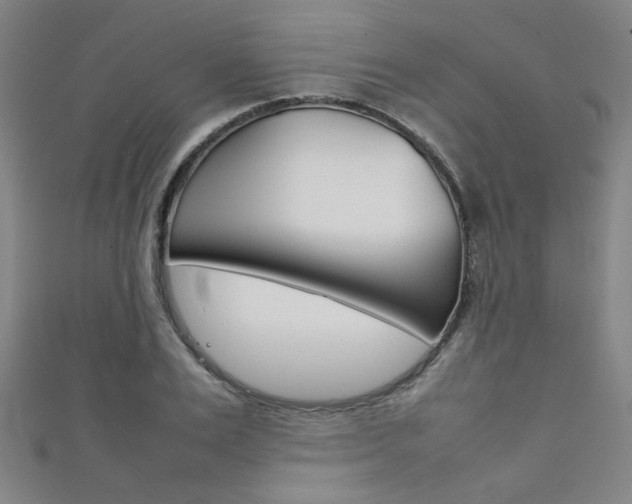 X0000111350983200907100931
