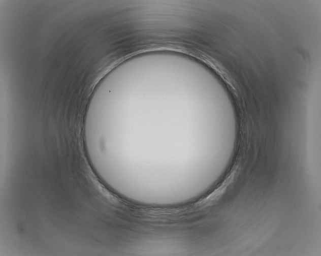 X0000111350985200907100931