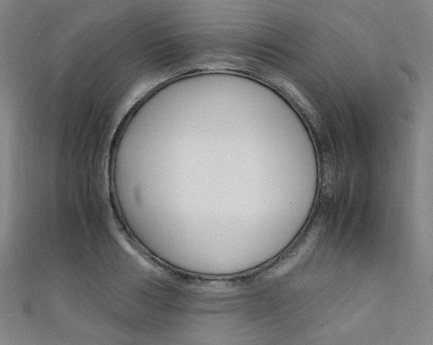 X0000111350986200907100931