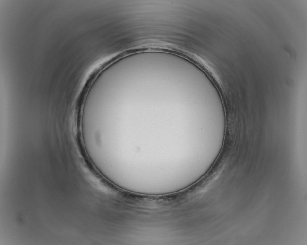 X0000111350987200907100931