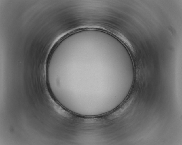 X0000111350988200907100931