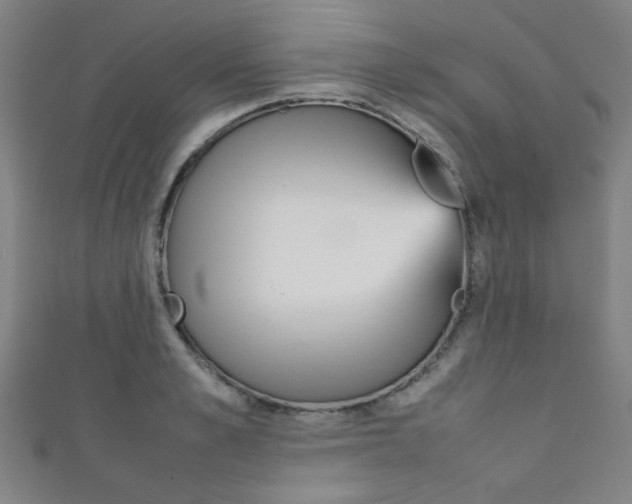 X0000111350989200907100931
