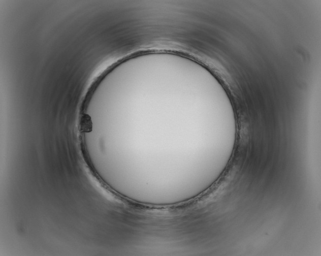 X0000111350990200907100931