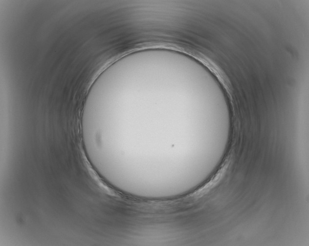 X0000111350993200907100931