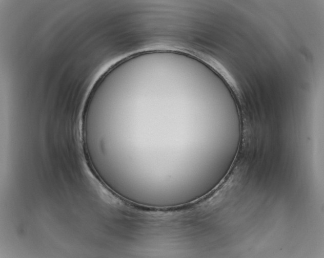 X0000111350996200907100931