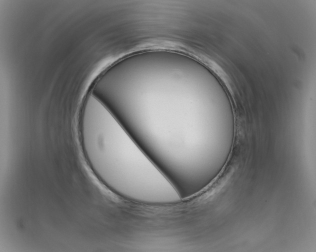 X0000111350997200907100931