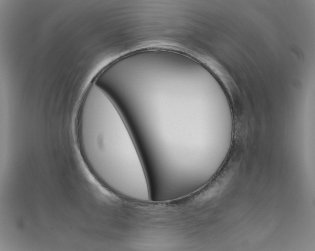 X0000111350999200907100931