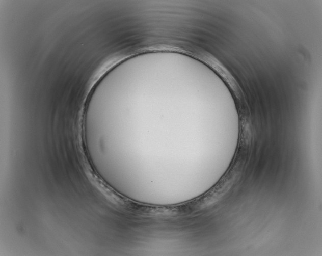 X0000111351002200907100931