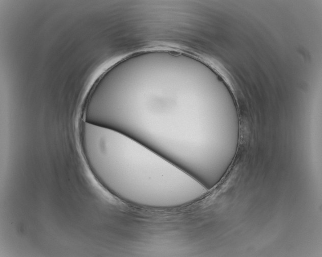 X0000111351003200907100931