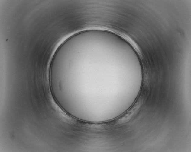 X0000111351004200907100931