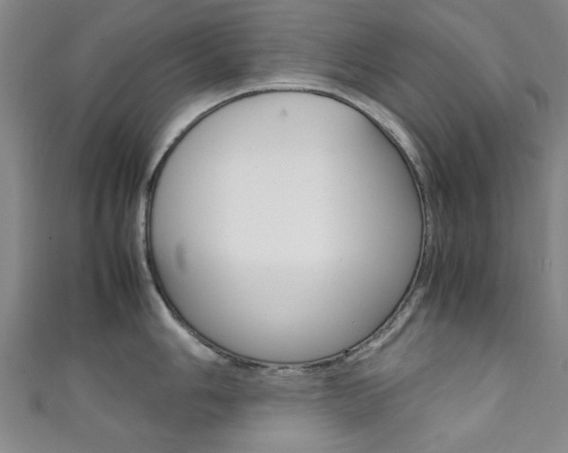 X0000111351006200907100931