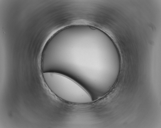 X0000111351008200907100931