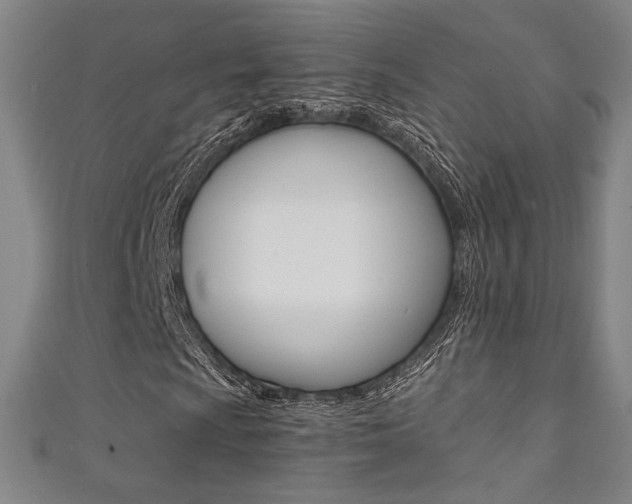 X0000111351009200907100930