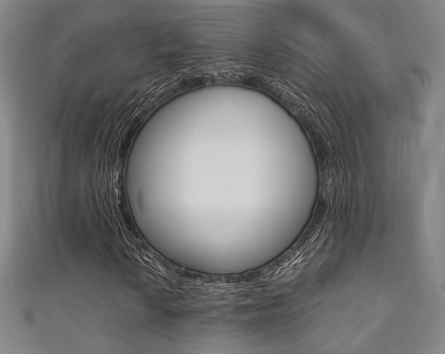 X0000111351010200907100930