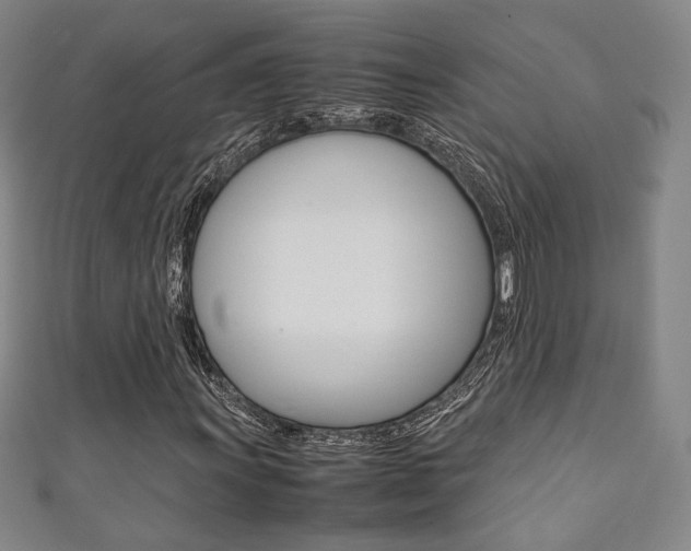 X0000111351011200907100930