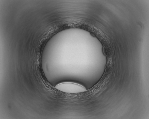 X0000111351012200907100930