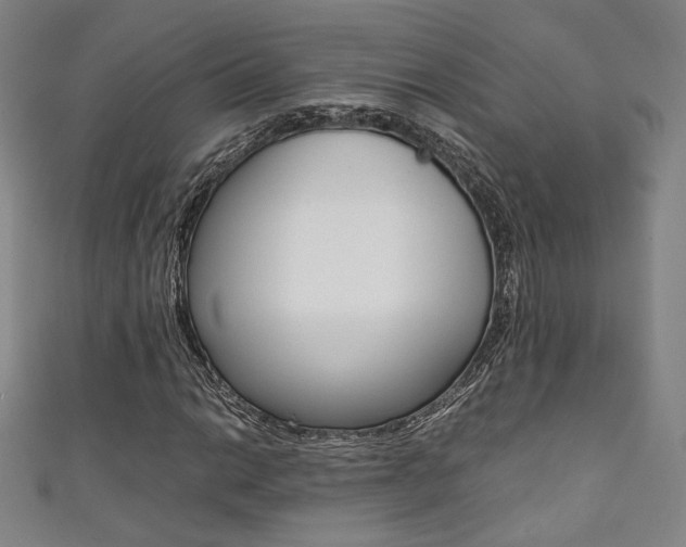 X0000111351014200907100930