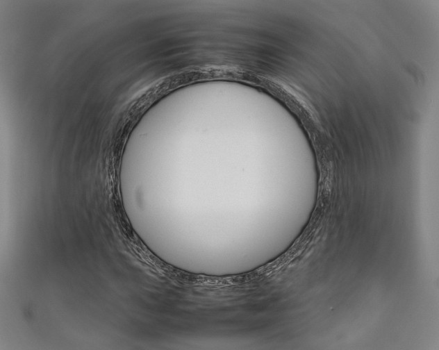X0000111351015200907100930