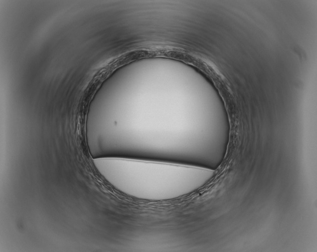 X0000111351016200907100930