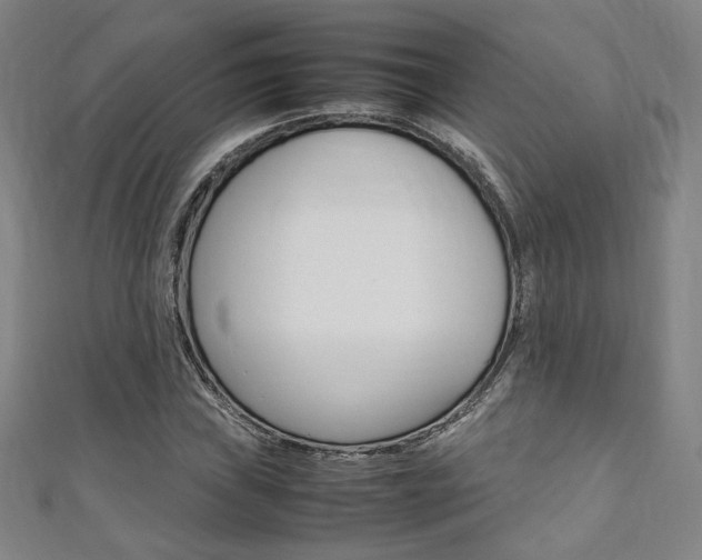 X0000111351019200907100930