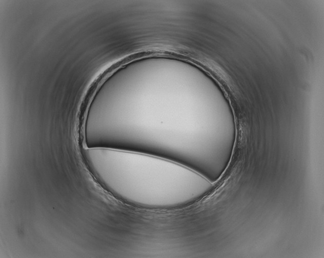X0000111351020200907100930